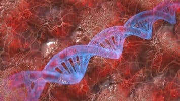 Learn about Karyotype issues