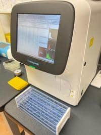 Weighing the Harm and benefits of a Plasma Bacterial
