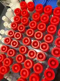WHO Says there are 357 Million Infections?