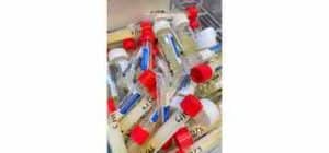 MBMC STD HPV Cancer test MBMC