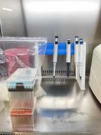 HPV, STD, STI test, variant MBMC