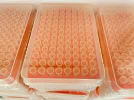 A huge given is the rise in rates of oral cancers in men!